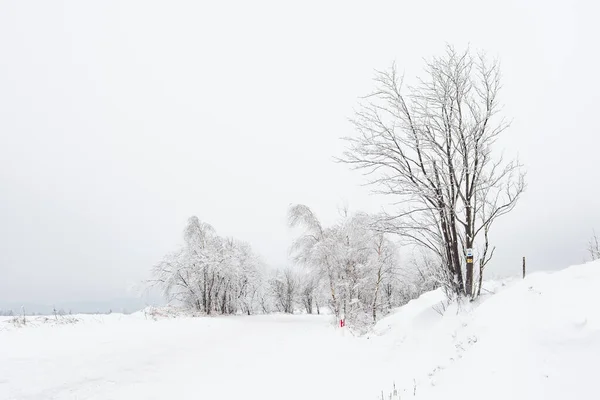 Winter landscape with snow-covered trees on the mountain road. Sudetes covered with white snow. A cloudy day with fog limits visibility in the mountains.