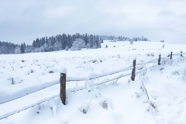 Winter Landscape Sudetes White Snow Covers Field Forest Surrounded Fence — Stock Photo, Image
