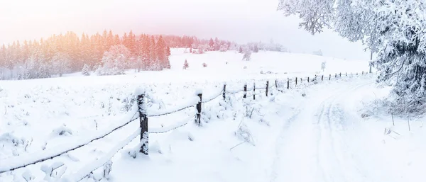 Winter Landscape Sudetes White Snow Covers Field Forest Surrounded Fence — Stock Photo, Image