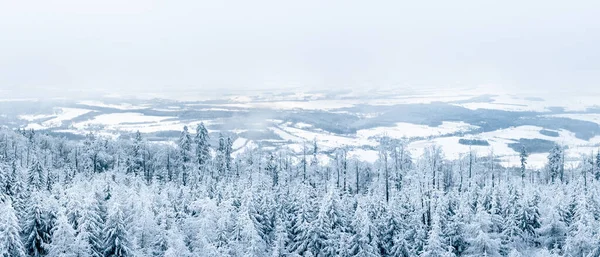 Заснеженные Леса Долиной Подножия Горы Зимний Пейзаж Судетах Вид Смотровой — стоковое фото