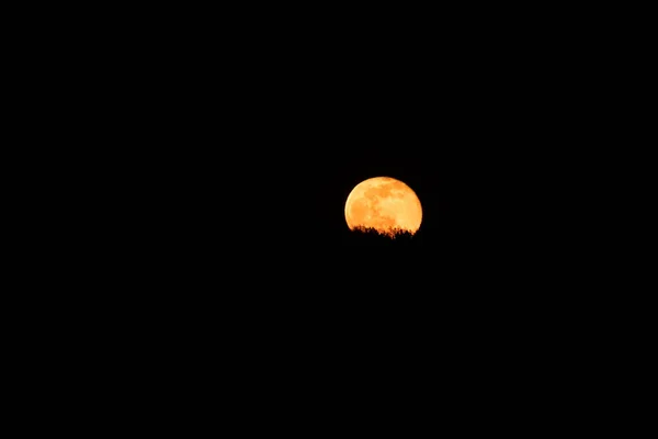 Una Luna Llena Nieve Satélite Natural Contra Cielo Oscuro — Foto de Stock