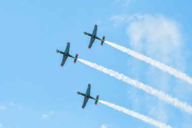 Leszno, Polonya - 19 Haziran 2021: The Aerobatic Team Orlik, PZL-130 Orlik Antidotum Airshow Leszno 'da sergilendi.