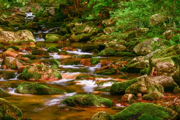 Miedzygorze Mountain River Rushing Water Water Flows Trough Moss Covered — Stock Photo, Image