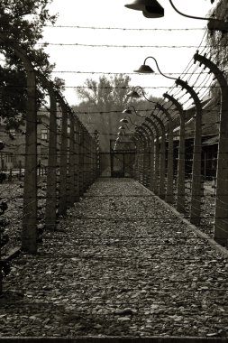 Auschwitz-Birkenau
