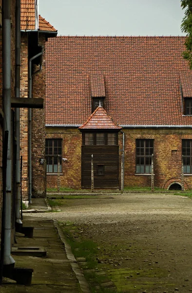 Auschwitz-Birkenau — Fotografia de Stock