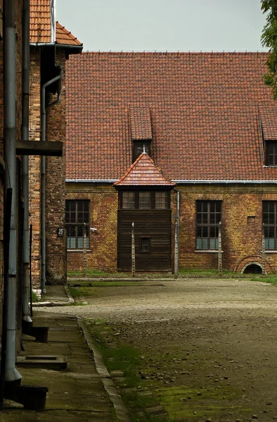 Auschwitz-Birkenau — Stock fotografie