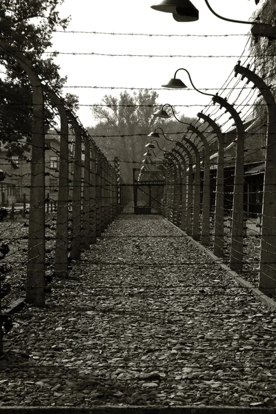 Auschwitz-Birkenau — Stock Photo, Image