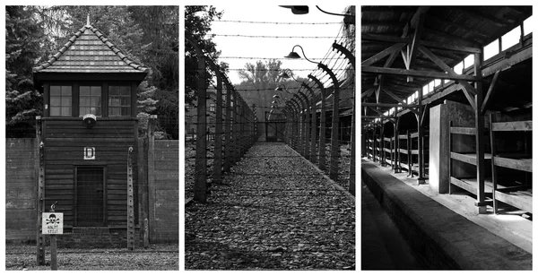 Auschwitz-Birkenau — Stockfoto