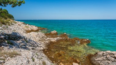 Deniz kıyısında berrak mavi suyu olan doğal bir kayalık kıyı şeridi. Keskin kayalar suyun üzerine çıkar ve mavi gökyüzü ufkun üzerine uzanır..