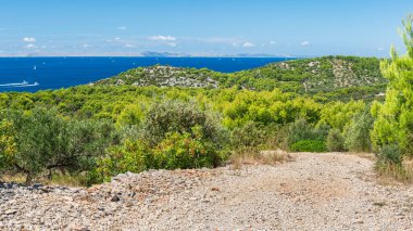 Deniz kıyısında yeşil tepeler ve mavi sularla kaplı Hırvat kıyı manzarası, güneşli bir günde tepeden doğaya çakıllı yoldan manzaraya bakıyor.