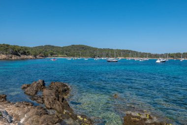 Yazın Porquerolles adasının keşfi. Fransız Rivierası 'nın bu manzarasında terk edilmiş plajlar ve çam ağaçları, Var.