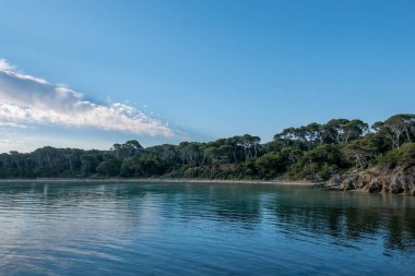 Yazın Porquerolles adasının keşfi. Fransız Rivierası 'nın bu manzarasında terk edilmiş plajlar ve çam ağaçları, Var.