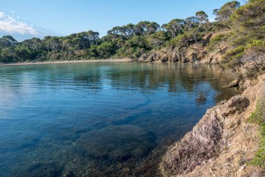 Yazın Porquerolles adasının keşfi. Fransız Rivierası 'nın bu manzarasında terk edilmiş plajlar ve çam ağaçları, Var.