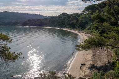 Yazın Porquerolles adasının keşfi. Fransız Rivierası 'nın bu manzarasında terk edilmiş plajlar ve çam ağaçları, Var.