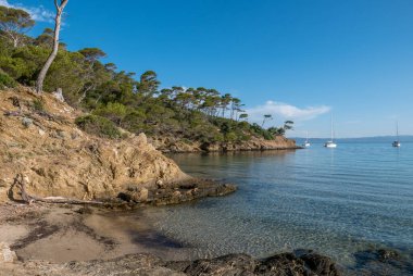 Yazın Porquerolles adasının keşfi. Fransız Rivierası 'nın bu manzarasında terk edilmiş plajlar ve çam ağaçları, Var.