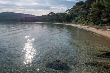 Yazın Porquerolles adasının keşfi. Fransız Rivierası 'nın bu manzarasında terk edilmiş plajlar ve çam ağaçları, Var.