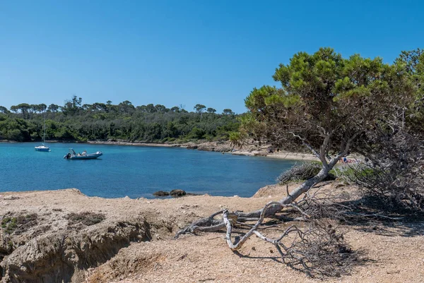 Yazın Porquerolles Adasının Keşfi Fransız Rivierası Nın Manzarasında Terk Edilmiş — Stok fotoğraf