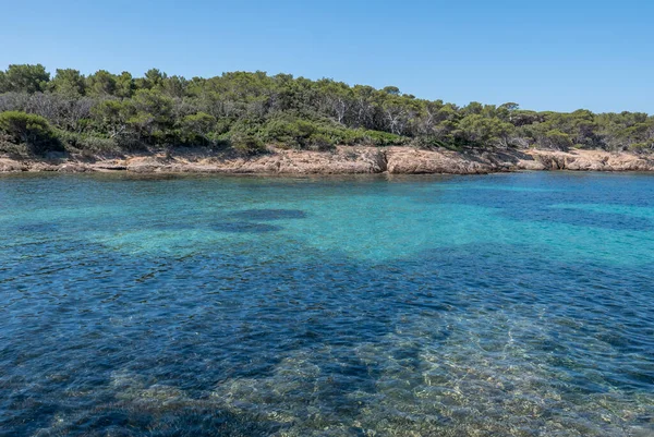 夏にPorquerolles島の発見 フランスのリビエラ ヴァルのこの風景の中に砂漠のビーチや松の木 — ストック写真