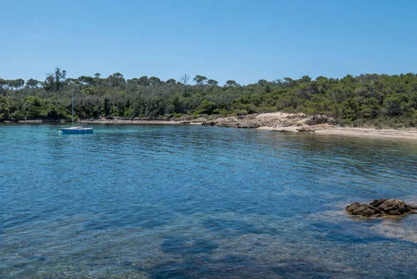 Upptäckten Porquerolles Sommaren Övergivna Stränder Och Tallar Detta Landskap Franska — Stockfoto