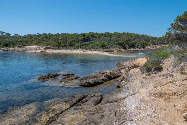 Entdeckung Der Insel Porquerolles Sommer Einsame Strände Und Kiefern Dieser — Stockfoto