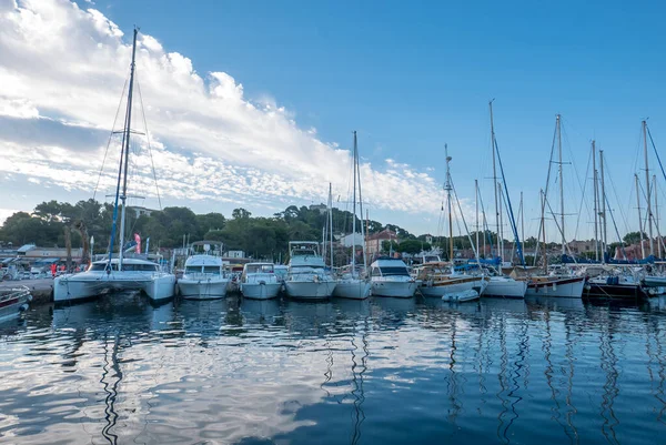 夏にPorquerolles島の発見 フランスのリビエラ ヴァルのこの風景の中に砂漠のビーチや松の木 — ストック写真