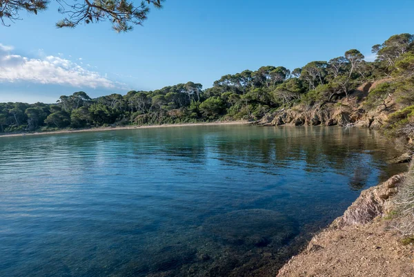 Yazın Porquerolles adasının keşfi. Fransız Rivierası 'nın bu manzarasında terk edilmiş plajlar ve çam ağaçları, Var.