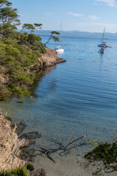 Descubrimiento Isla Porquerolles Verano Playas Desiertas Pinos Este Paisaje Riviera — Foto de Stock