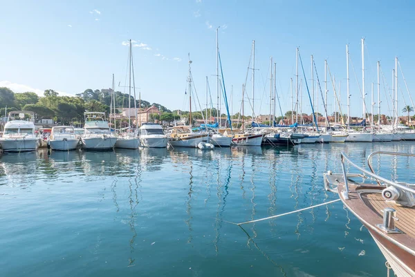 夏にPorquerolles島の発見 フランスのリビエラ ヴァルのこの風景の中に砂漠のビーチや松の木 — ストック写真