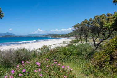 Güney Korsika 'daki güzellik adasının keşfi Mayıs' ta, Fransa