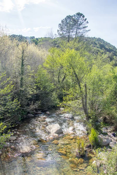 Découverte Île Beauté Dans Sud Corse Mai France — Photo