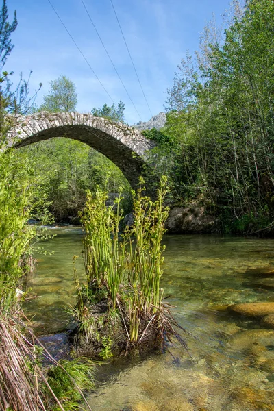 Découverte Île Beauté Dans Sud Corse Mai France — Photo