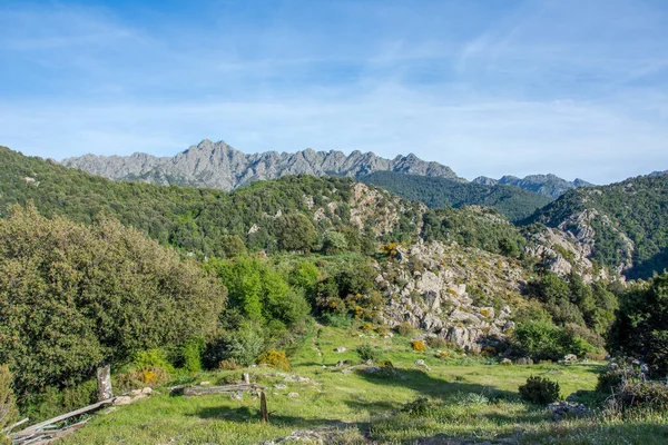 Güney Korsika Daki Güzellik Adasının Keşfi Mayıs Fransa — Stok fotoğraf