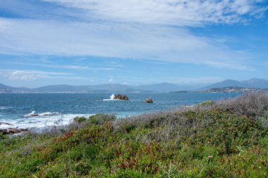 Güney Korsika 'daki güzellik adasının keşfi Mayıs' ta, Fransa