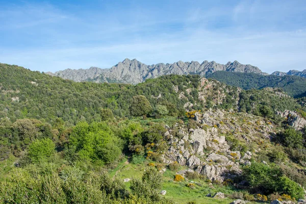 Güney Korsika Daki Güzellik Adasının Keşfi Mayıs Fransa — Stok fotoğraf