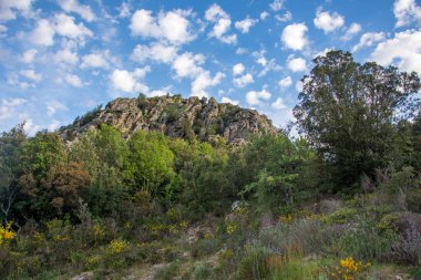 Güney Korsika 'daki güzellik adasının keşfi Mayıs' ta, Fransa