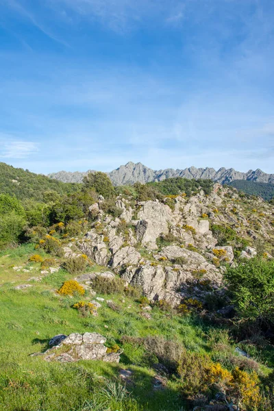 Descubrimiento Isla Belleza Sur Córcega Mayo Francia — Foto de Stock