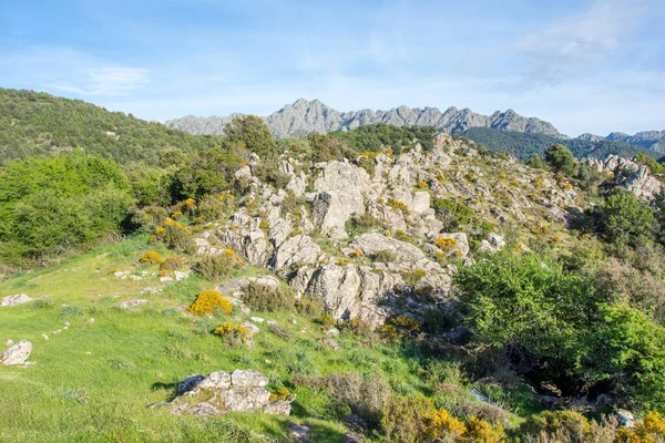 Descubrimiento Isla Belleza Sur Córcega Mayo Francia —  Fotos de Stock