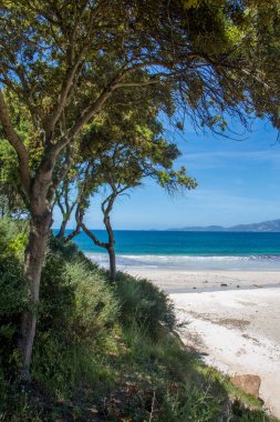 Güney Korsika 'daki güzellik adasının keşfi Mayıs' ta, Fransa