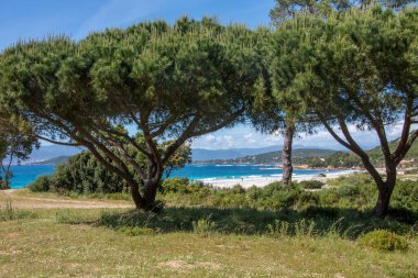 Güney Korsika 'daki güzellik adasının keşfi Mayıs' ta, Fransa