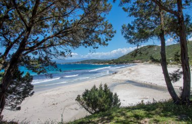 Güney Korsika 'daki güzellik adasının keşfi Mayıs' ta, Fransa