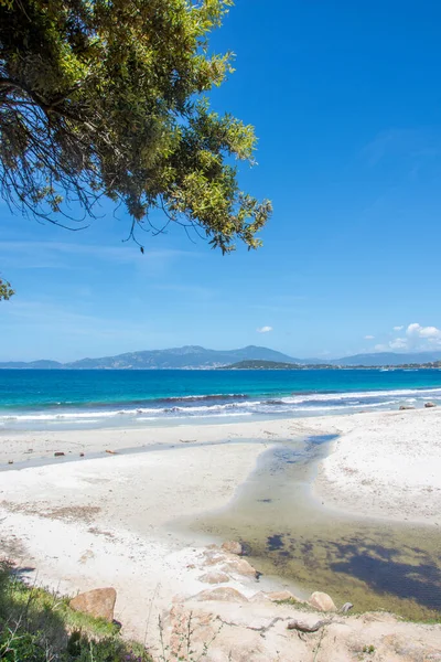 Entdeckung Der Insel Der Schönheit Süden Korsikas Mai Frankreich — Stockfoto