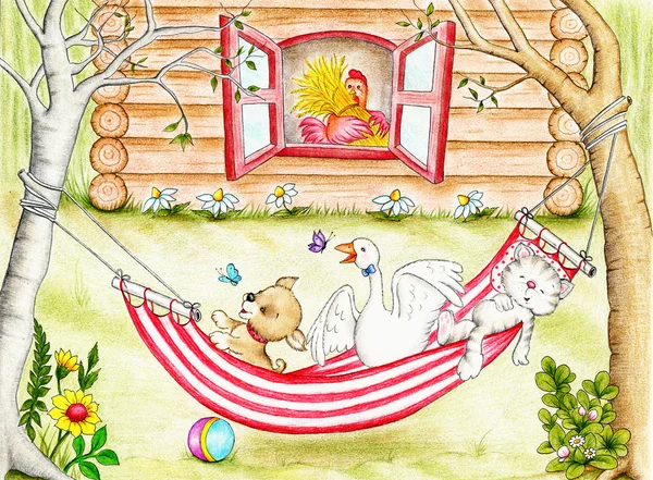 Funny animals in hammock