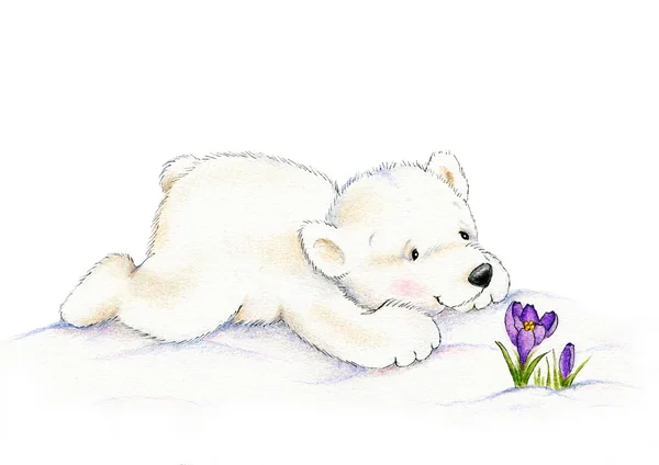 Kutup ayısı ve çiçek — Stok fotoğraf