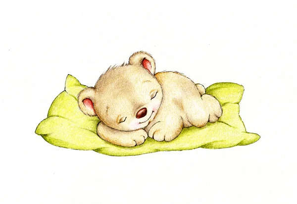 Sleeping Teddy bear — Stock Photo, Image