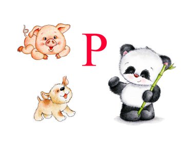 Harf P, domuz, köpek yavrusu, panda