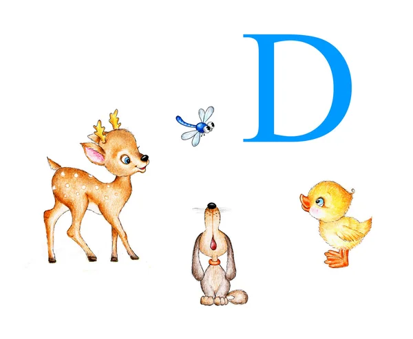 Letter D, deer, duck, dog, dragonfly — Stock Photo, Image