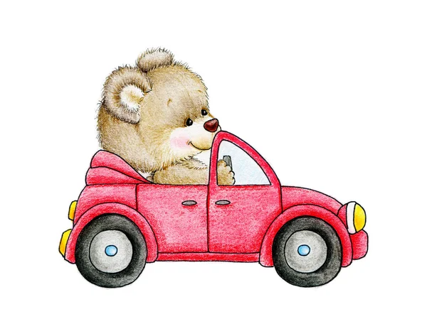 Bear in red car — Stok fotoğraf
