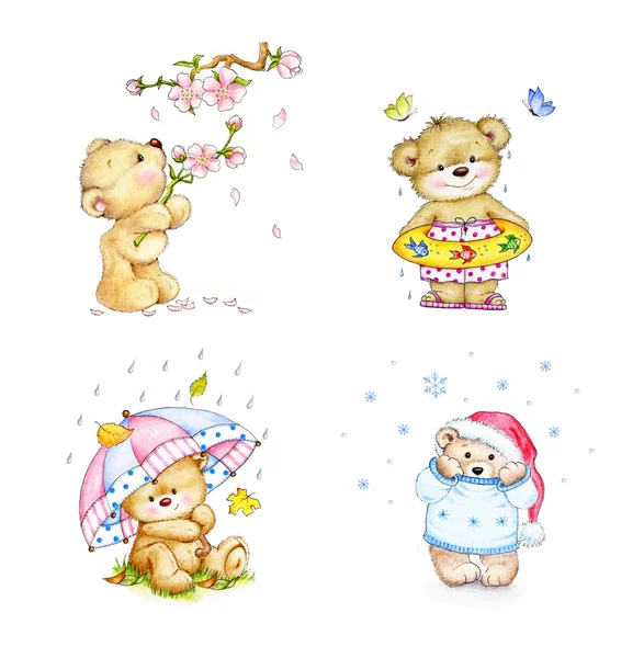 Baby bears in four seasons — Zdjęcie stockowe