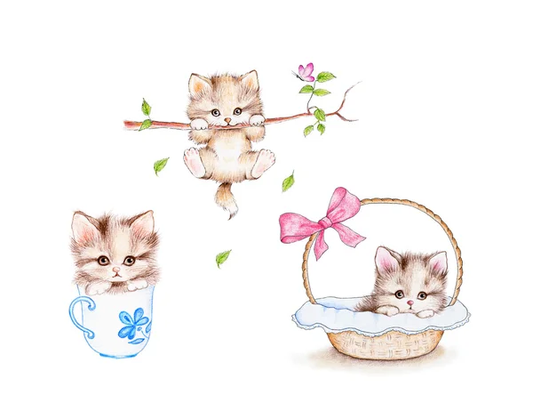 Conjunto de tres gatitos lindos —  Fotos de Stock