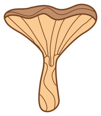 Mantarın çıkartması hatırlanabilir.